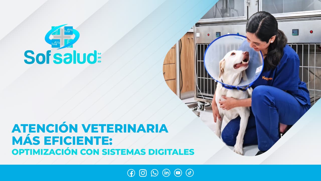 Atención veterinaria más eficiente: optimización con sistemas digitales 